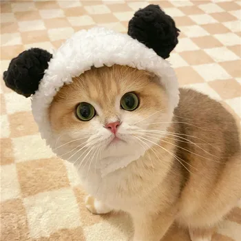 Kisállat macska kalap nyúl fül béka medve kisállat vicces fejdísz