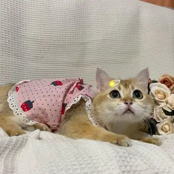 Kisállat ruha ujjatlan kisállat szoknya macska ultravékony csipke ruha fotózás kellék